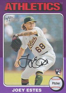 Joey Estes