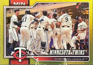 Team Card