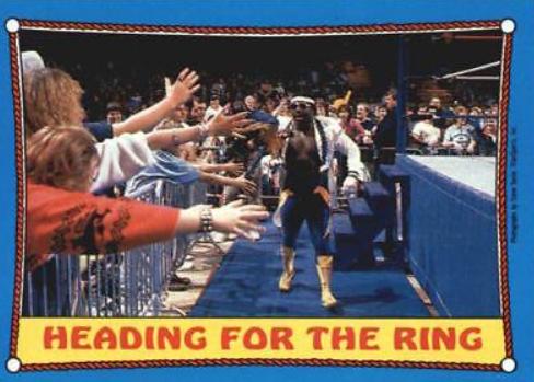 Koko B. Ware #39 Wrestling Cards 1987 Topps WWF