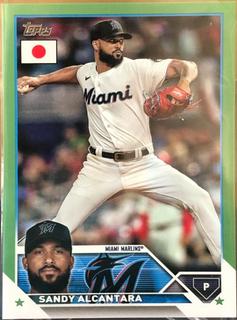 Sandy Alcantara