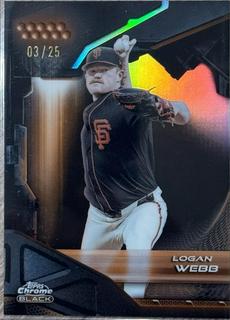 Logan Webb