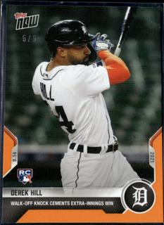 Derek Hill