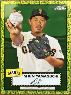 Shun Yamaguchi
