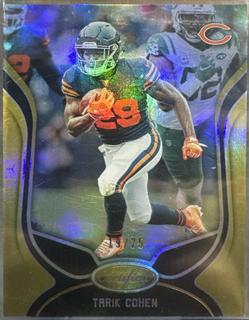 Tarik Cohen