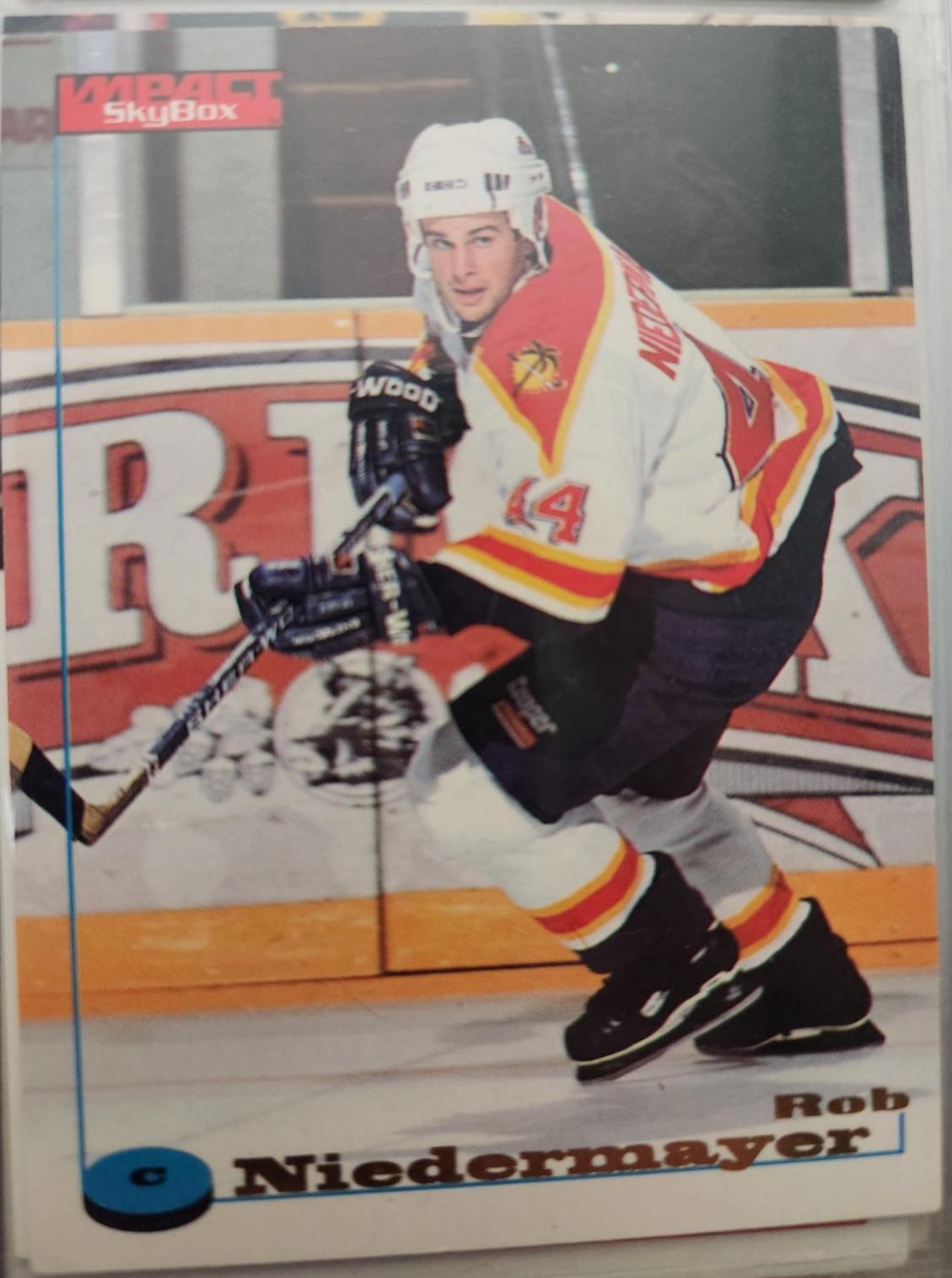 Rob Niedermayer #47 Hockey Cards 1996 SkyBox Impact