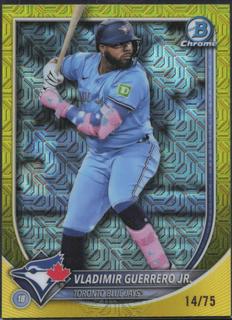 Vladimir Guerrero Jr.