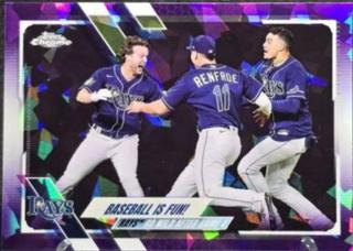 Tampa Bay Rays