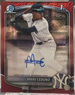 Mani Cedeno