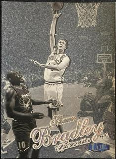 Shawn Bradley