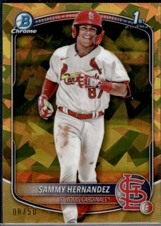 Sammy Hernandez