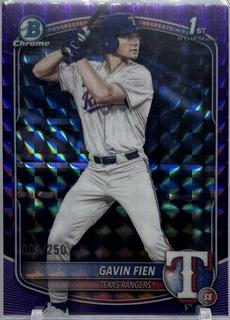 Gavin Fien