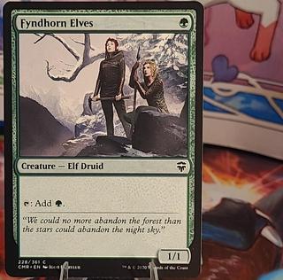 Fyndhorn Elves