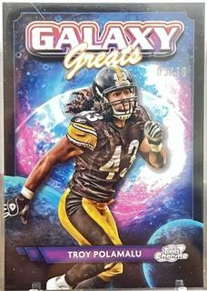 Troy Polamalu