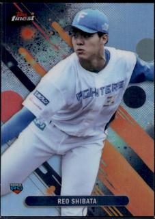 Reo Shibata
