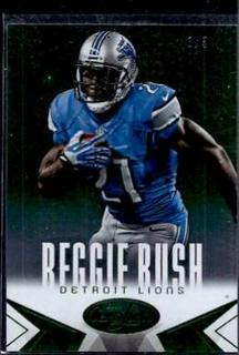 Reggie Bush