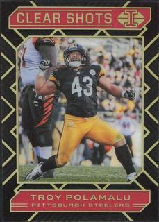 Troy Polamalu