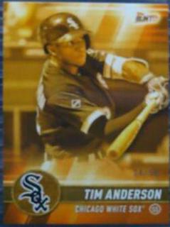 Tim Anderson