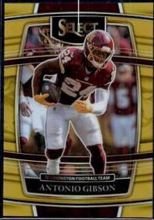 Antonio Gibson