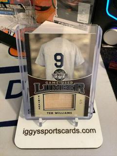 Ted Williams