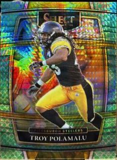 Troy Polamalu