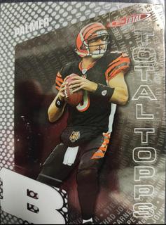 Carson Palmer