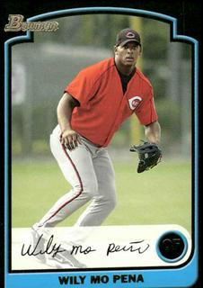 Wily Mo Pena