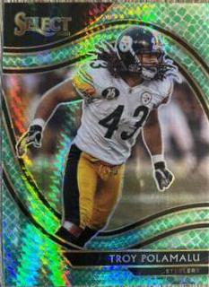 Troy Polamalu