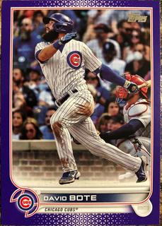 David Bote