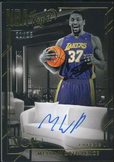 Metta World Peace
