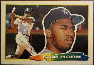 Sam Horn
