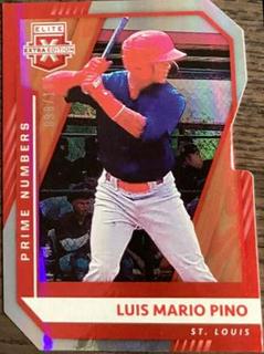 Luis Mario Pino
