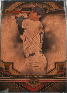 Shohei Ohtani
