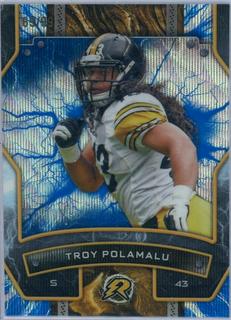 Troy Polamalu