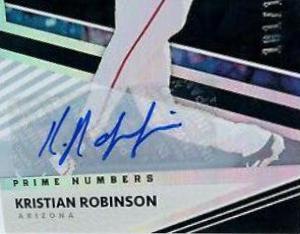 Kristian Robinson