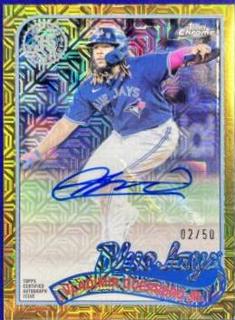 Vladimir Guerrero Jr.