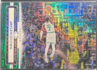 Jaylen Brown