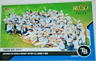 Tampa Bay Rays