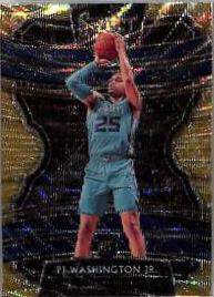 PJ Washington Jr.