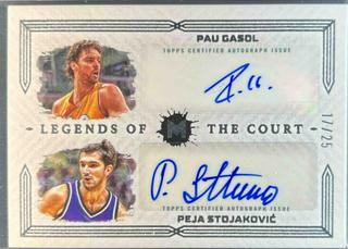 Peja Stojakovic / Pau Gasol