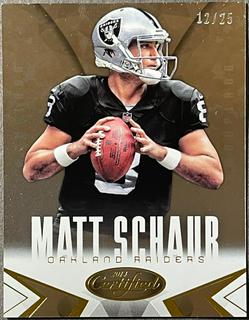 Matt Schaub