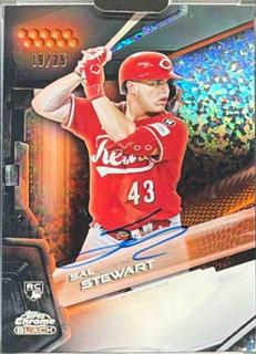 Sal Stewart