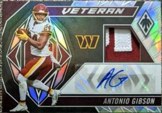 Antonio Gibson