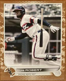 Luis Robert