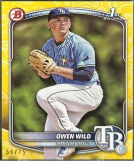 Owen Wild