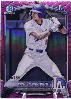 Landyn Vidourek