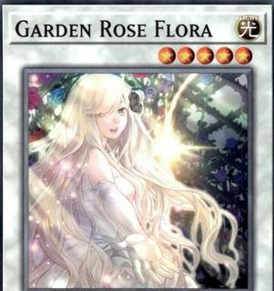 Garden Rose Flora L5DD-ENA33