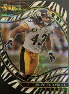 Troy Polamalu