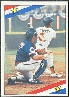 Steve Garvey