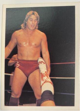Terry Taylor #22 Wrestling Cards 1988 Wonderama NWA