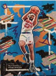 Mitchell Robinson